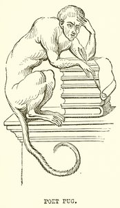 Mopsz költő alkotó: English School