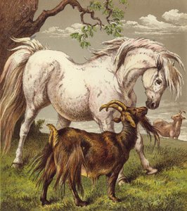 Póni és kecske (színes litó) alkotó: English School