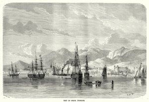 Port of Spain. Trinidad (metszet) alkotó: English School