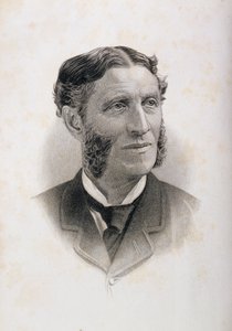 Matthew Arnold (1822-88) portréja alkotó: English School