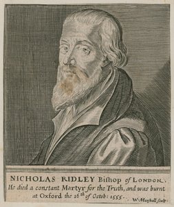 Nicholas Ridley portréja