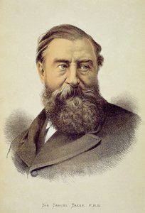 Sir Samuel Baker (1821-93) portréja