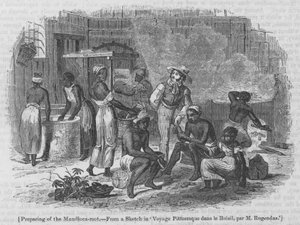 A Mandioca-gyökér előkészítése alkotó: English School