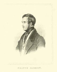Albert herceg alkotó: English School