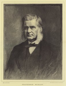 Huxley professzor (metszet) alkotó: English School