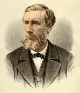 John Tyndall professzor alkotó: English School