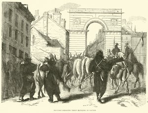 Szarvasmarhát behozó porosz takarmánykereső csapat, 1870. október alkotó: English School