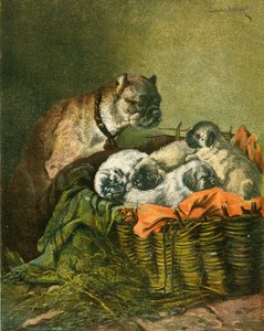 Mopsz és kölykök