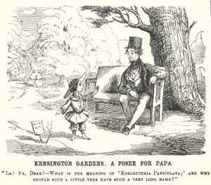Punch rajzfilm: gyermek kérdést tesz fel apjának a londoni Kensington Gardensben (metszet) alkotó: English School