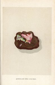 Queensland opál a mátrixban, Edwin Streeter "Precious Stones and Gems" című művéből, London, George Bell & Sons alkotó: English School