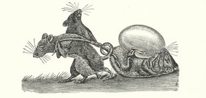 Patkányok tojást hordanak haza (metszet) alkotó: English School