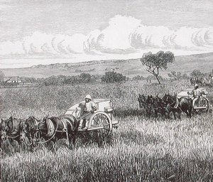 Reaping, Dél-Adelaide, Ausztrália alkotó: English School