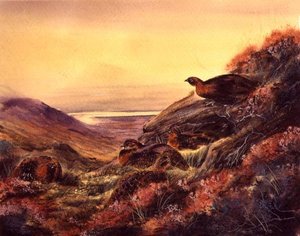 Red Grouse in Moorland, 1890 körül (akvarell papíron) alkotó: English School