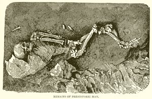 Ősember maradványai alkotó: English School