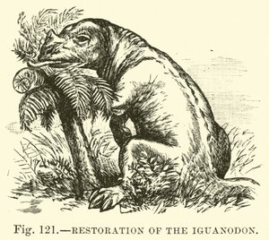 Az Iguanodon helyreállítása alkotó: English School