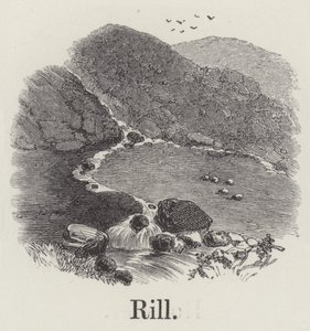 Rill (metszet) alkotó: English School