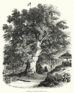 Robinson Crusoe gesztenyefája (metszet) alkotó: English School