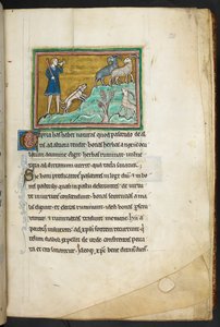 Királyi 12 F.XIII, f.20 Kutyás vadász vagy farmer, aki kecskéket üldöz.  Bestiary (ff. 3-141), Lapidary (ff. 141v-149)  13. század 2. negyede alkotó: English School