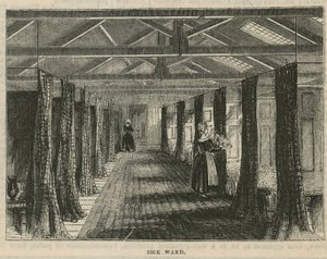 Royal Free Hospital, London: Betegosztály alkotó: English School