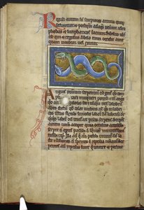 Royal MS 12 C XIX, f.63v Anguis, a 