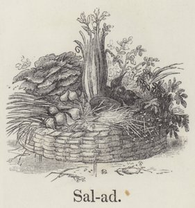 saláta (metszet) alkotó: English School