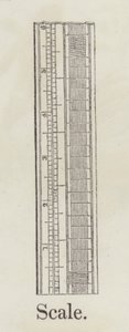 Mérleg (metszet) alkotó: English School