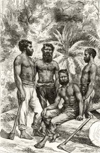 Félcivilizált viktoriánus aboriginek, Howard Willoughby "Australian Pictures" című művéből, kiadta a Religious Tract Society, London, 1886. alkotó: English School