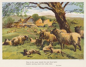 Juhok és bárányok (színes litográfia) alkotó: English School