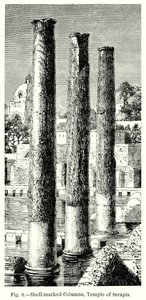 Kagylóval jelzett oszlopok, Serapis templom (metszet) alkotó: English School