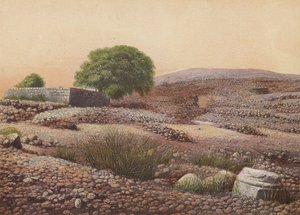 Shiloh (színes litográfia) alkotó: English School
