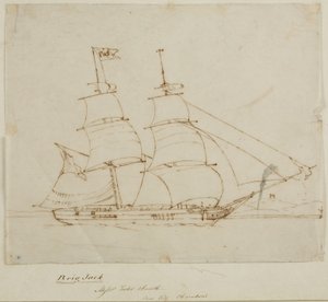 Hajóportré – Brig Jack (toll és tinta papíron (nyomvonal)) alkotó: English School