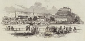 Shrewsbury Races (metszet) alkotó: English School