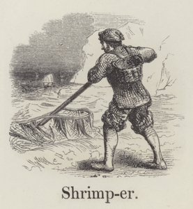 Shrimper (metszet) alkotó: English School