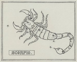 Az állatöv jelei: Skorpió (metszet) alkotó: English School