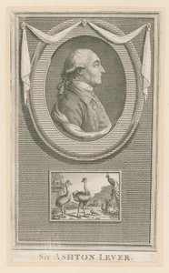 Sir Ashton Lever alkotó: English School