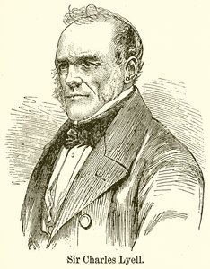 Sir Charles Lyell alkotó: English School
