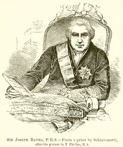 Sir Joseph Banks, P.R.S alkotó: English School