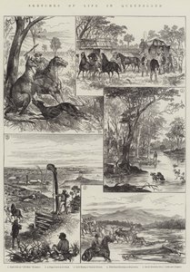 Vázlatok a queenslandi életről (metszet) alkotó: English School