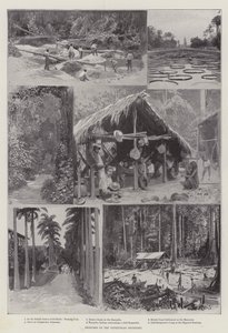Vázlatok a venezuelai határról (litho) alkotó: English School