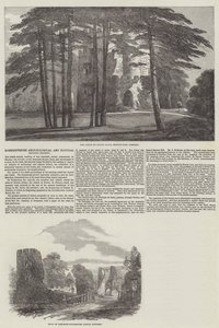 Somersetshire Régészeti és Természettudományi Társaság (metszet) alkotó: English School