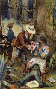 Südamerika: Das verwundete Glied binden