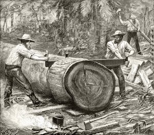 Splitters in the Bush, 1880 körül, Howard Willoughby „Australian Pictures” című művéből, a Religious Tract Society, London, 1886 alkotó: English School