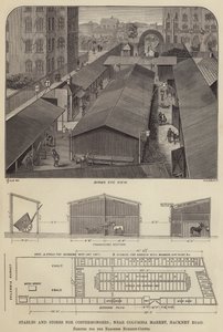 Istállók és üzletek Costermongers számára, a Columbia Market közelében, Hackney Road, Burdett-Coutts bárónő számára (metszet) alkotó: English School