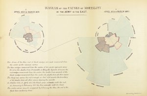 A Florence Nightingale által kidolgozott statisztikai diagram bemutatja a betegségek túlsúlyát a halálozási okok között a brit hadseregben a krími háború idején, 1854 áprilisától 1855 márciusáig és 1855 áprilisáig Ma. alkotó: English School