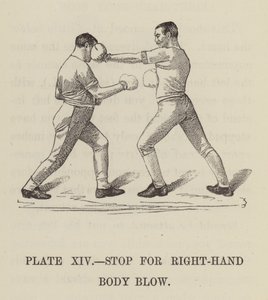 Stop jobb oldali testütéshez (gravírozás) alkotó: English School