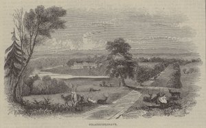 Strathfieldsaye alkotó: English School