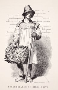 Madárfészkek utcai eladója, Henry Mayhew illusztrációja a London Labor and London Poor-ból, pub. 1862 alkotó: English School