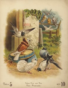 Tíz galamb (chromolitho) alkotó: English School