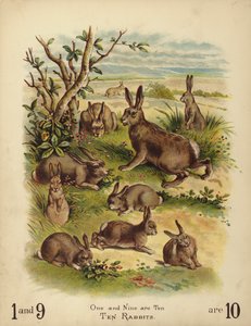 Tíz nyúl (chromolitho) alkotó: English School