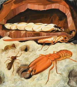 Termeszek alkotó: English School